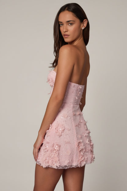 Embellished Bandeau A-line Mini Dress in Ballet Pink
